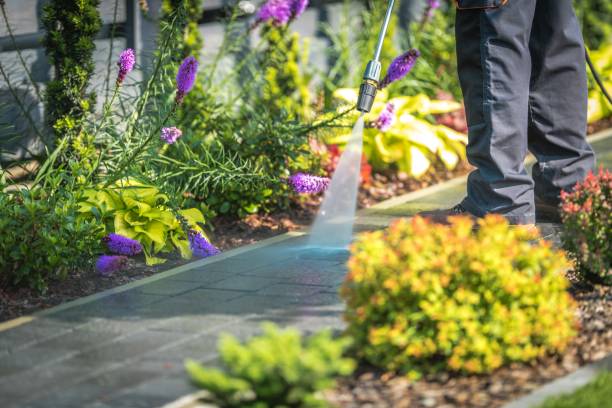 Professional Pressure Washing Services in Pine Grove Mills, PA