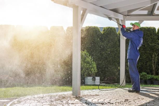 Best Driveway Cleaning and Restoration in Pine Grove Mills, PA